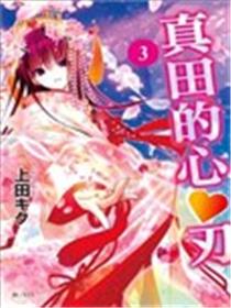 真田的心♥刃海报