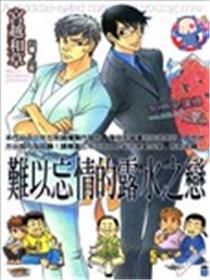 难以忘情的露水之恋海报