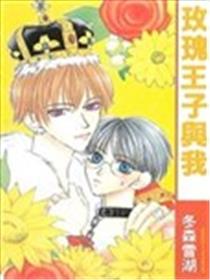 玫瑰王子与我海报