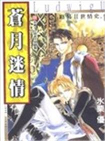路易Ⅱ世情史海报