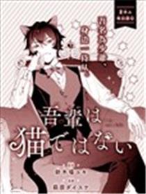 吾辈不是猫海报