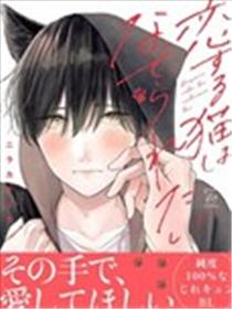 恋爱中的猫咪想被抚摸海报