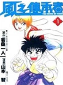 风之传承者海报