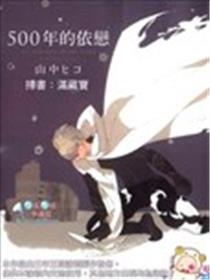 500年的依恋海报