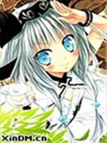 符文工房4海报