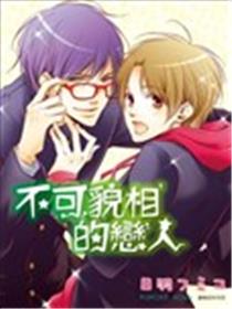 不可貌相的恋人海报
