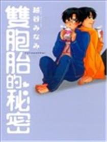 双胞胎的秘密海报