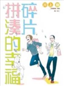 碎片拼凑的幸福海报
