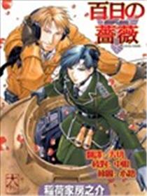 百日蔷薇海报