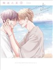 轮回之夏海报