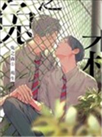 兔之森海报