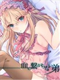 没有血缘的弟弟海报