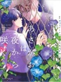 牵牛花自夜间绽放海报