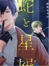 蛇与群星海报