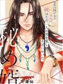 秘婿海报