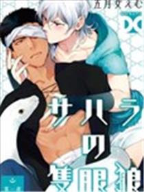 撒哈拉的独眼狼海报