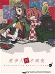 爱书人的不眠夜海报