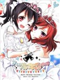 妮可真姬结婚现场海报