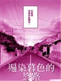 遍染暮色的终路海报