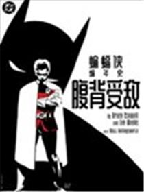 蝙蝠侠编年史：腹背受敌海报
