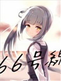 66号线海报