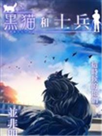 黑猫和士兵海报