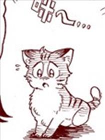 孤独的男人和猫的故事海报