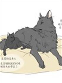 狗狗猫猫海报