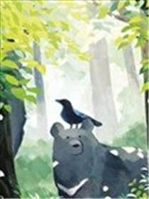 熊与乌鸦海报