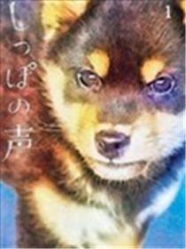 尾巴有话说海报