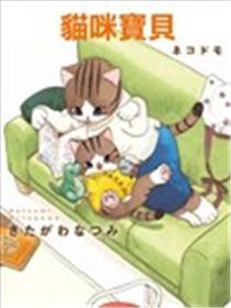猫咪宝贝海报