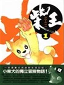 柴王海报