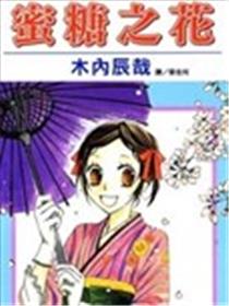 蜜糖之花海报