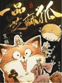 一品芝麻狐海报