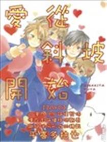 爱从斜坡开始海报