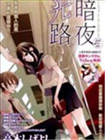 暗夜光路海报