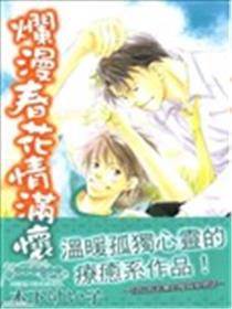 烂漫春花情满怀海报