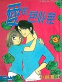 爱的包心菜海报