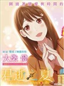 君逝之夏海报