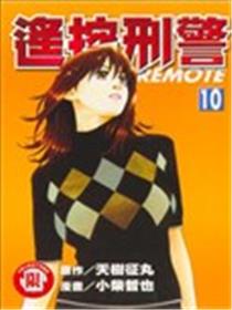 遥控刑警海报