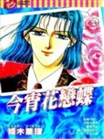 今宵花恋蝶海报