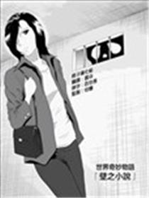 壁之小说海报