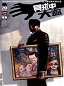 贼中大盗海报