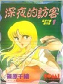 深夜的访客海报