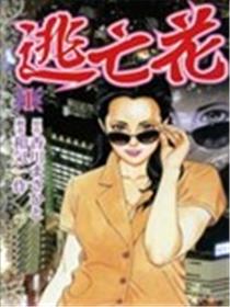 逃亡花海报