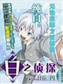 白之侦探海报