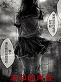 未知的声音海报