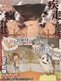 逃生羽鸟海报