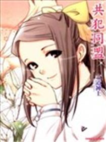 共犯同盟海报