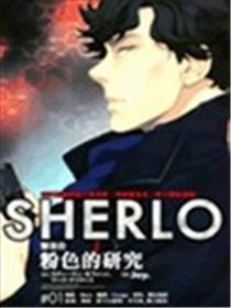 神探夏洛克 粉色的研究海报
